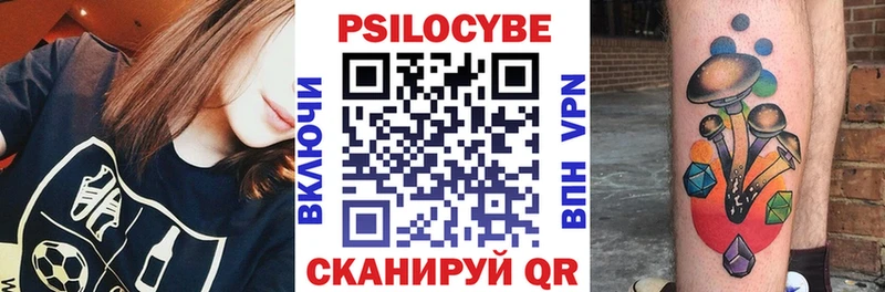 Псилоцибиновые грибы MAGIC MUSHROOMS  нарко площадка клад  Великий Устюг 